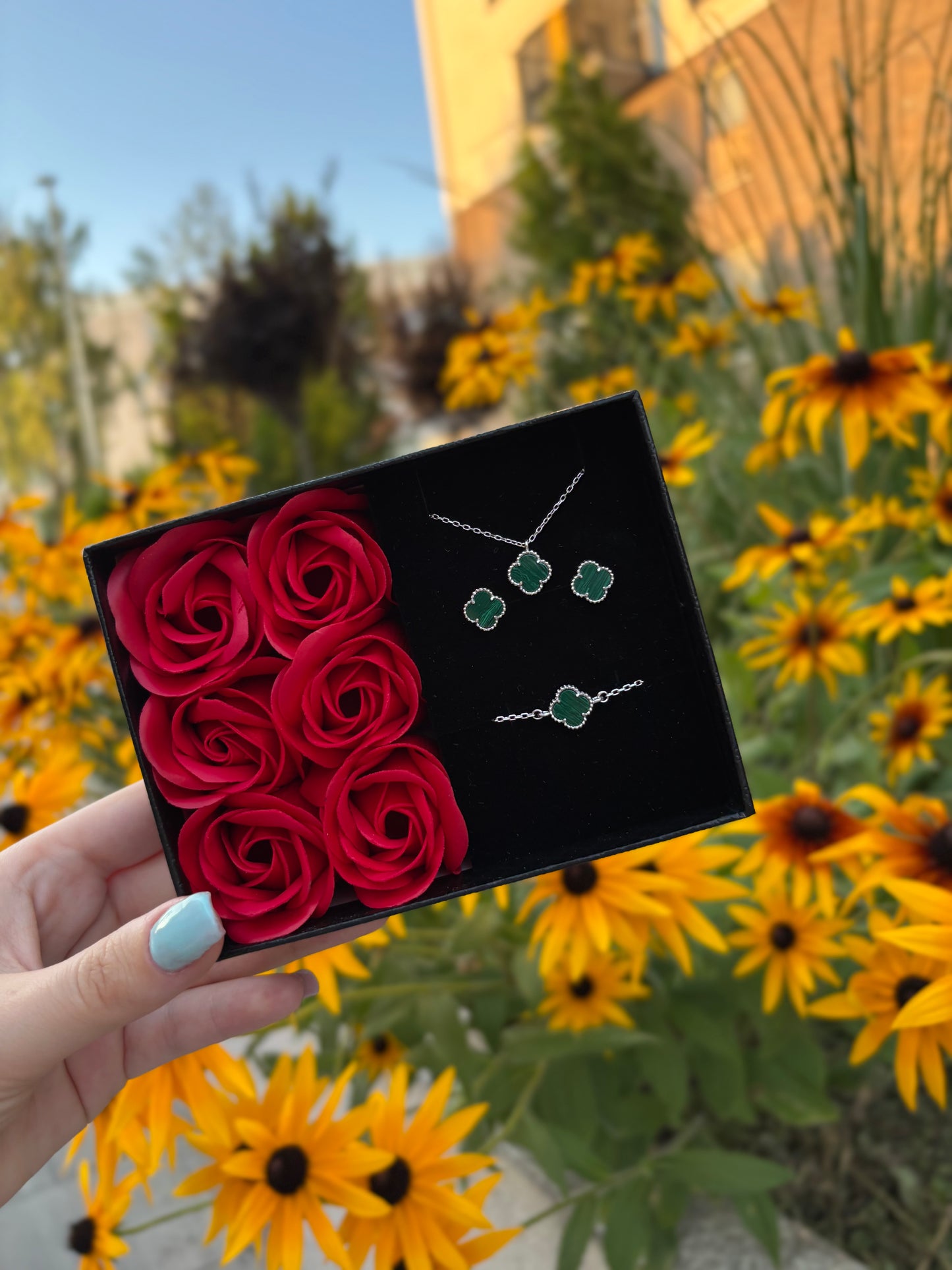 Srebrni set