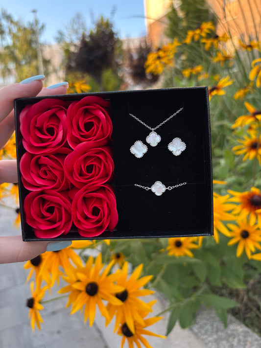 Srebrni set