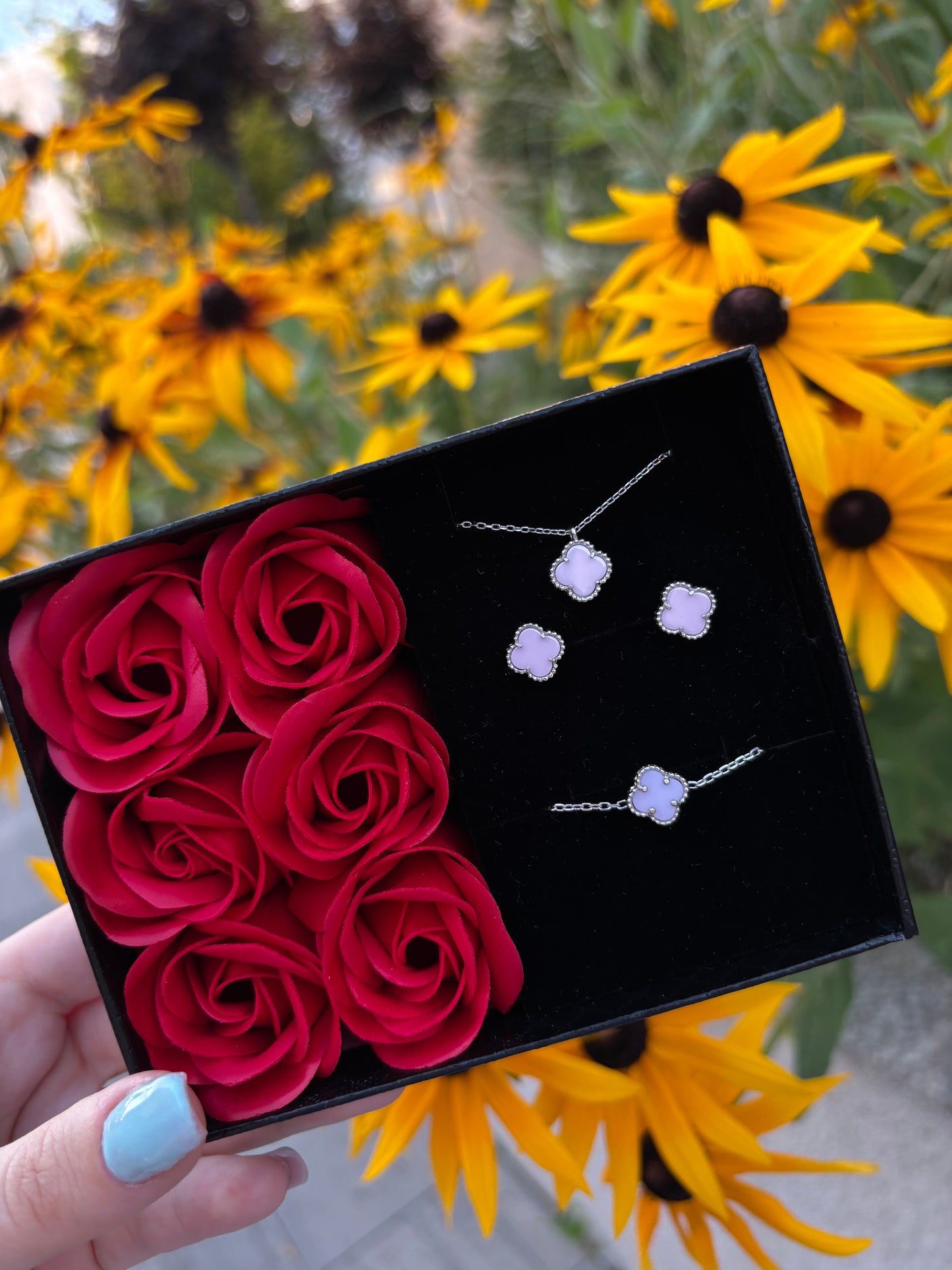 Srebrni set